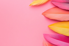Pink and Yellow Feathers with Pink Background Product Image 1
