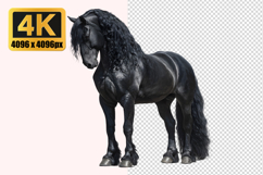 Black Horse Transparent PNG Product Image 1