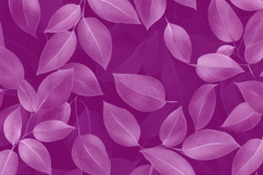 Purple Leaf Background Wallpaper Product Image 1