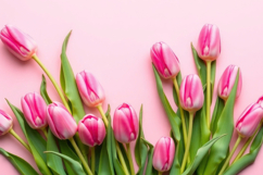 Pink Tulip Flowers Background Product Image 1