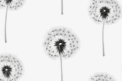 Dandelion Pattern Background Wallpaper Product Image 1