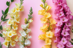 Gladiolus Flowers Background Wallpaper Product Image 1