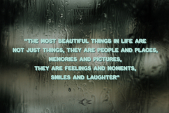 Celebrate Product Image 3