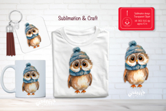 Christmas Watercolor Clipart Sublimation Owl forest animals Product Image 1