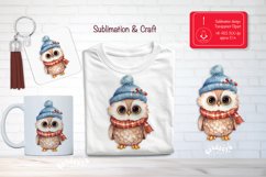 Christmas Watercolor Clipart Sublimation Owl forest animals Product Image 1