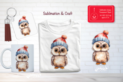 Christmas Watercolor Clipart Sublimation Owl forest animals Product Image 1