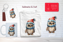 Christmas Watercolor Clipart Sublimation Owl forest animals Product Image 1