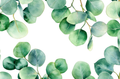Eucalyptus Leaves Background Wallpaper Product Image 1