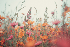 Wildflower Field Background Wallpaper Product Image 1