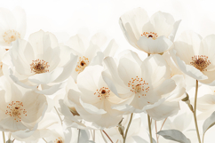 White Floral Background Wallpaper Product Image 1
