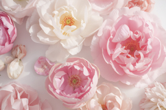 White And Pink Floral Background Product Image 1