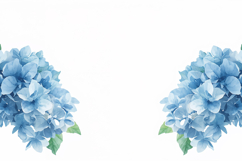 Watercolor Blue Floral Background Product Image 1