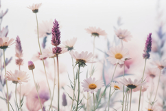 Soft Floral Background Product Image 1