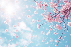 Cherry Blossom Sky Dreamy Background Wallpaper Product Image 1