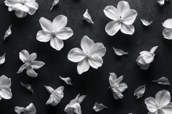 White Flowers on Black Background Wallpaper Product Image 1
