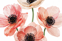Pink Floral Background Product Image 1