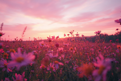 Dark Pink Floral Field Background Wallpaper Product Image 1
