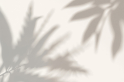 Tree Shadow Background Product Image 1