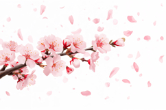 Pink Watercolor Floral Branch Background Product Image 1