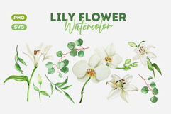 White Lily Watercolor Clipart Product Image 1
