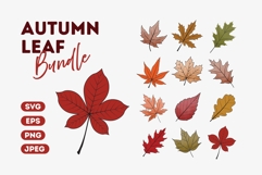 Fall Foliage Clipart Product Image 1