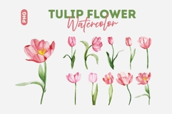 Tulip Flower Watercolor Clipart Bundle Product Image 1