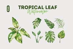Tropical Jungle Watercolor Leaf Collection Product Image 1