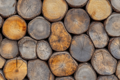Wood Logs Background Wallpaper Product Image 1