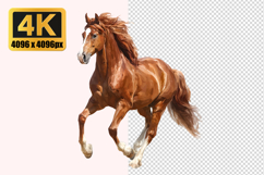 Brown Horse Transparent PNG Product Image 1