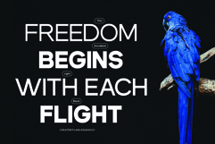Dectone - Family Sans Serif Font Product Image 2