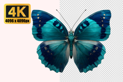 Charaxes Smaragdalis Butterfly Transparent PNG Product Image 1