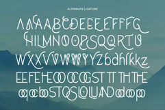 Dermoso Product Image 8