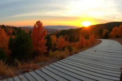 Autumn Forest Wooden Bridge Background Product Image 1