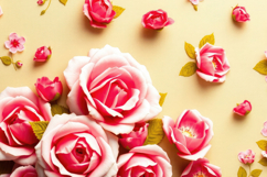 Pink Rose Background Product Image 1