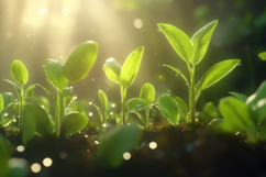 Tea Plant Background Wallpaper Product Image 1