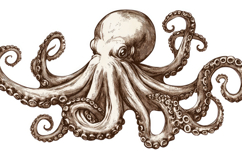 Octopus with White Background Wallpaper Product Image 1