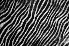 Black and White Pattern Background Wallpaper Product Image 1