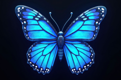 Blue Butterfly Background Product Image 1