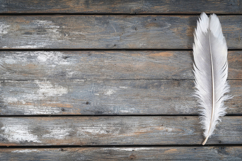 Feather on Old Wooden Background Wallpaper Product Image 1