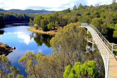 Green Forest With Lake Background Product Image 1