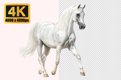 White Horse Transparent PNG Product Image 1