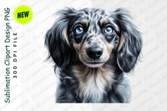 Adorable Long Haired Dachshund Dog Portrait Bright Clipart Product Image 1