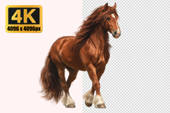 Red Horse Transparent PNG Product Image 1