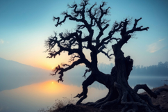 Tree With Nature Background Product Image 1