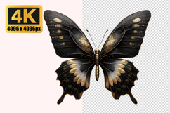 Black and Gold Butterfly Transparent PNG Product Image 1
