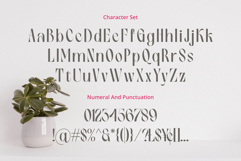 Birletus Display Font Duo Product Image 2