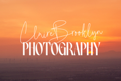 Birletus Display Font Duo Product Image 3