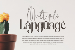 Birletus Display Font Duo Product Image 4