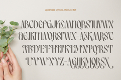 Birletus Display Font Duo Product Image 9