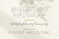 Birletus Display Font Duo Product Image 10
